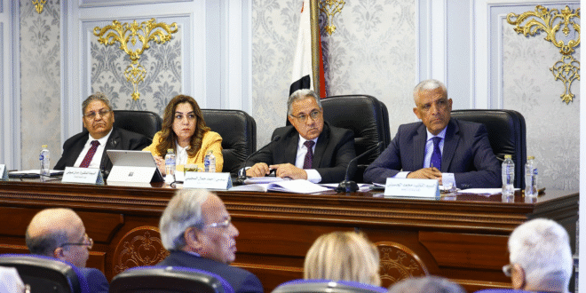 #وزيرة التنمية المحلية فى مجلس النواب