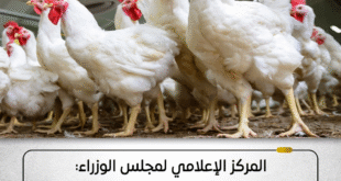 ##الوزراء وحقيقة فيرس الدواجن %%