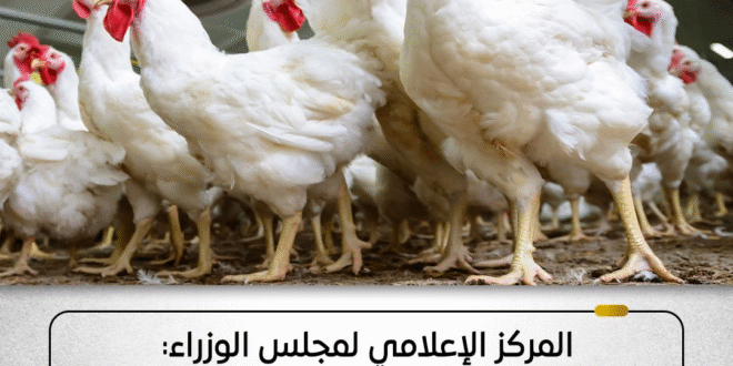 ##الوزراء وحقيقة فيرس الدواجن %%