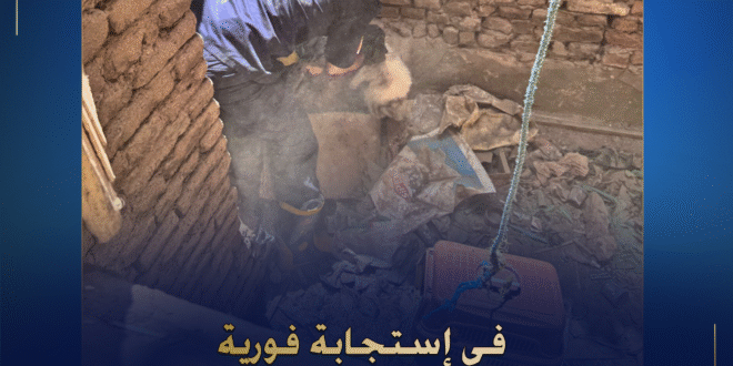 قوات الحماية المدنية تنقذ قطتين