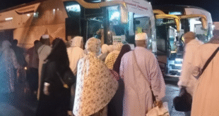 عودة حجاج الحج السياحى