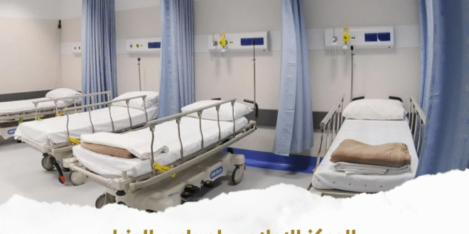 المستشفيات الحكومية فى مصر