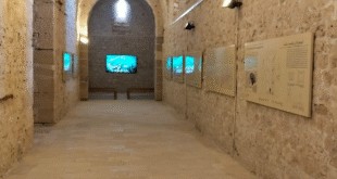 مركز زوار قلعة قايتباي بالإسكندرية