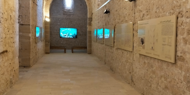 مركز زوار قلعة قايتباي بالإسكندرية