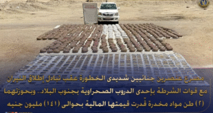 ضبط شحنة مخدرات فى جنوب البلاد