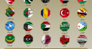 بيان لوزراء خارجية مصر وعدة دول يدن الهجمات الإسرائيلية ضد إيران