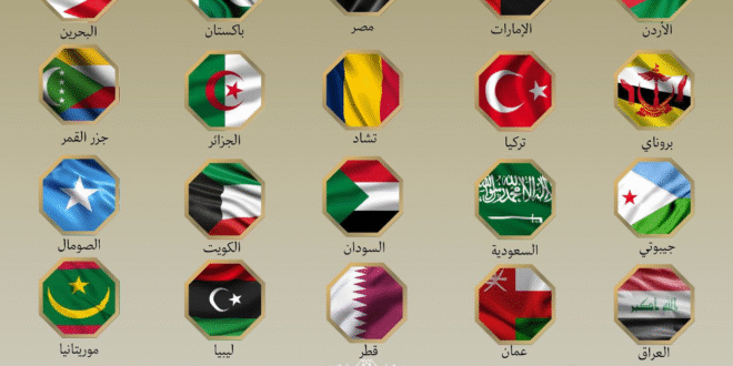 بيان لوزراء خارجية مصر وعدة دول يدن الهجمات الإسرائيلية ضد إيران