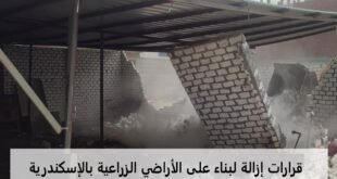 تنفيذ قرارات إزالة لبناء على الأراضي الزراعية بالإسكندرية