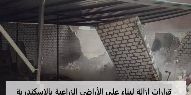 تنفيذ قرارات إزالة لبناء على الأراضي الزراعية بالإسكندرية