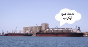 شحنة قمح أوكراني جديدة