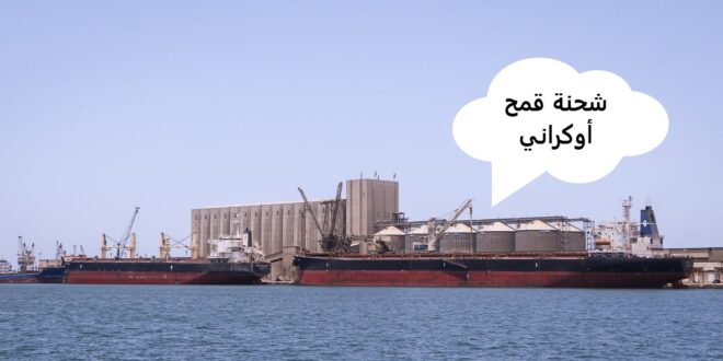 شحنة قمح أوكراني جديدة
