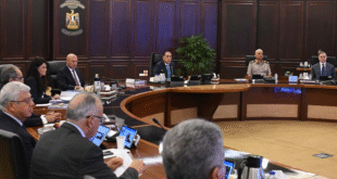 دور الشركات المصرية فى تنفيذ المشروعات فى الدول الإفريقية