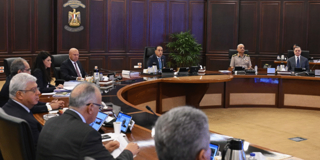 دور الشركات المصرية فى تنفيذ المشروعات فى الدول الإفريقية