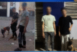 بلطجية الكلاب