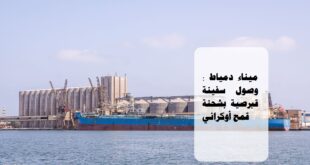 شحنة قمح أوكراني تصل ميناء دمياط #
