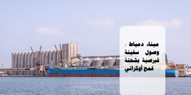 شحنة قمح أوكراني تصل ميناء دمياط #