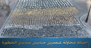 كميات كبيرة من المخدرات