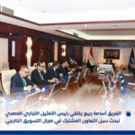 قناة السويس والتمثيل التجاري